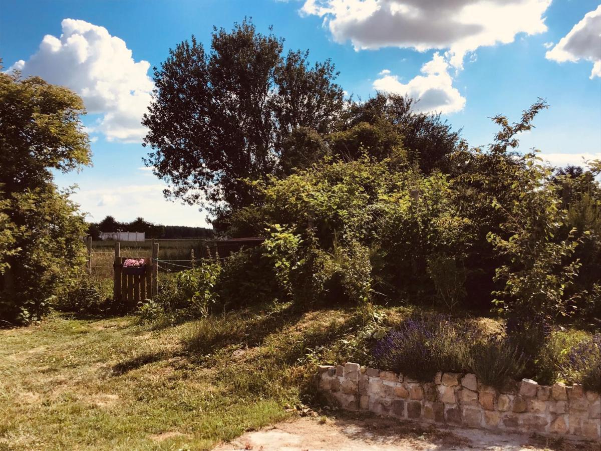 Le Chalet De La Ferme Du Tertre Villers-au-Tertre Δωμάτιο φωτογραφία